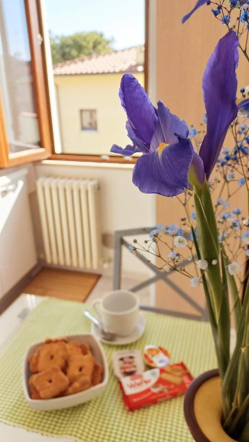 Casa Lilly Apartment Porto SantʼElpidio Екстериор снимка
